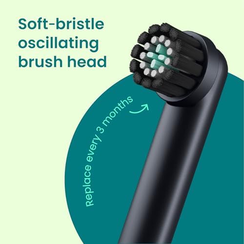 Quip Rev 360 Oscillating Rechargeable Electric Toothbrush with Extra Brush Head - Soft Bristles, Pressure Sensor, 3 Intensities, 30-Day Battery Life, Travel Case, Mirror Mount - Blue Stone