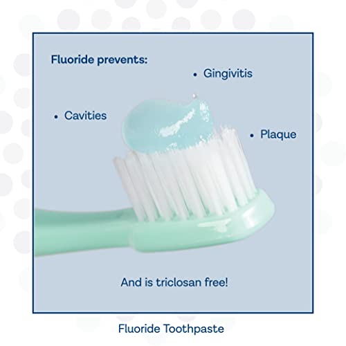 PRO-SYS® Mint Fluoride Toothpaste Gel, ADA Approved, Prevents Cavities, Gingivitis, and Plaque, Pack of 3