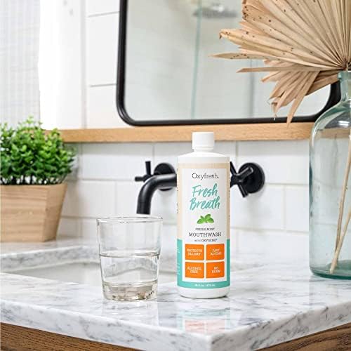 Oxyfresh Fresh Breath Fresh Mint Mouthwash – Dentist Recommended for Long-Lasting Fresher Breath & Healthy Gums | Alcohol & Fluoride Free (1-16 oz Bottle)