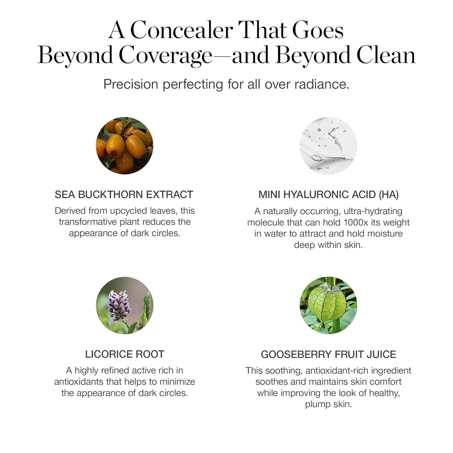 Ogee Complexion Perfecting Under Eye Concealer - Certified Organic Full Coverage Concealer - Buildable Coverage - OSIER 1.75W - Light Medium (Olive Undertones)