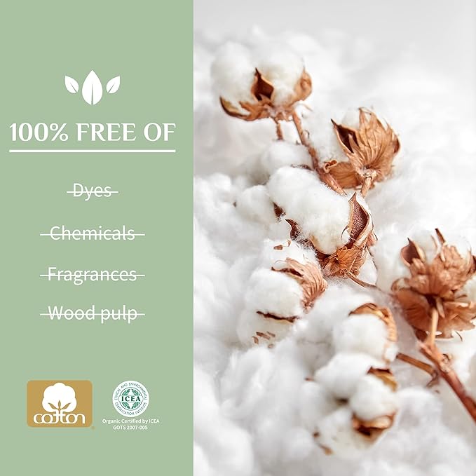 Organyc 100% Certified Organic Cotton Inside and Out Flat Panty Liner - Everyday Sanitary Pad, Free from Wood Pulp, Perfumes, SAP and Chemicals - Maxi Flow, 20 Count
