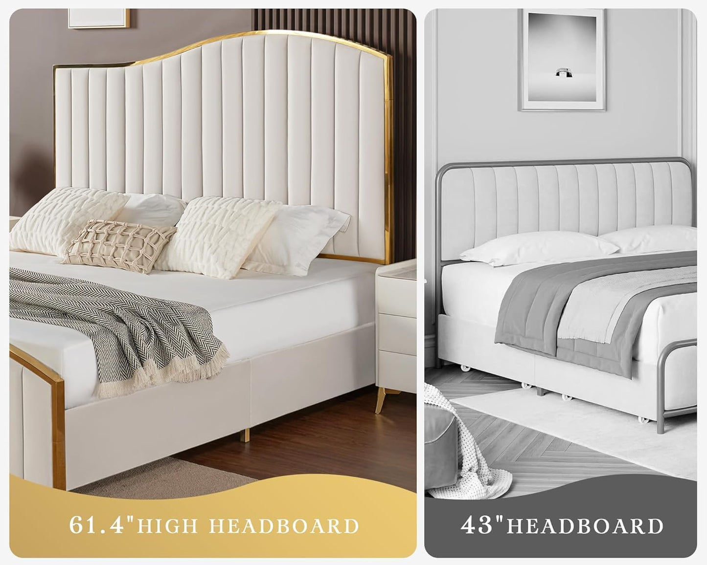 AMERLIFE Queen Size Bed Frame, 61.4" High Headboard Platform Bed Velvet Upholstered with Gold Trim & Footboard/Wooden Slats/No Box Spring Required/Cream