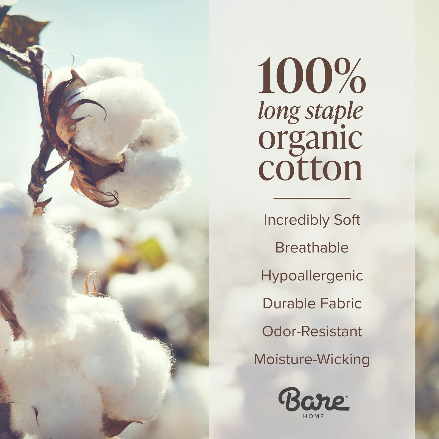 Bare Home 100% Organic Cotton Split King Sheet Set - Crisp Percale Weave - Lightweight & Breathable - Bedding Sheets & Pillowcases (Split King, Bering Sea)